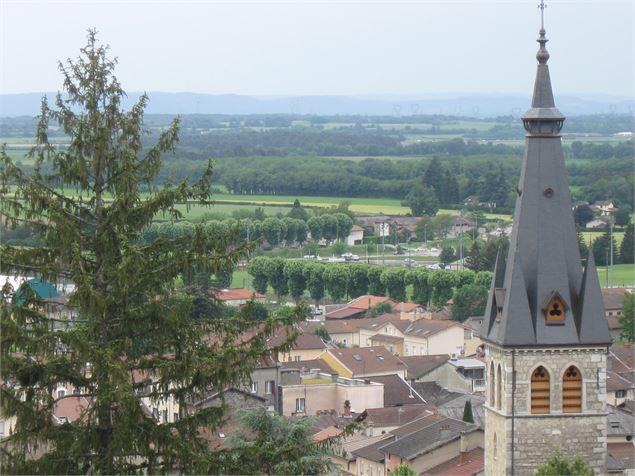 Point de vue du château de Meximieux - Philippe Danné