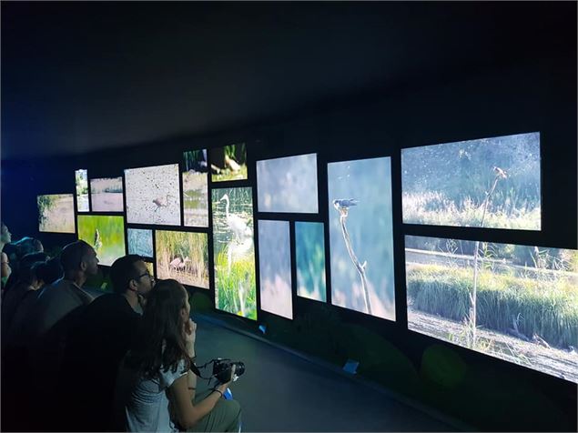 aqualisaixlesbainsrivieradesalpes - A.Coissard