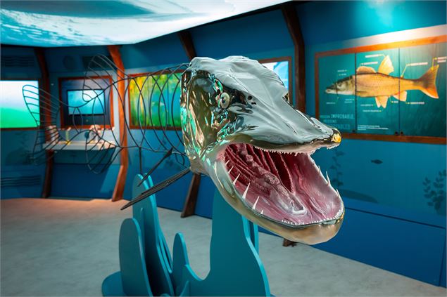 photo-prestataire - A.Coissard