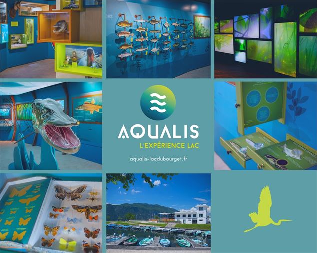 photo-prestataire - A.Coissard