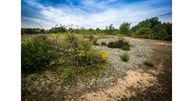 Dunes de Sermoyer - S Tournier CDAin