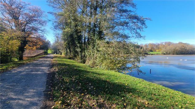 Liaison VTT-VTC (L7) St Trivier de Courtes - Dunes de Sermoyer - S Tournier CDAin