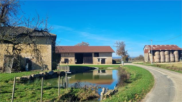 Liaison VTT-VTC (L7) St Trivier de Courtes - Dunes de Sermoyer - S Tournier CDAin