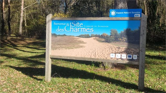 Liaison VTT-VTC (L7) St Trivier de Courtes - Dunes de Sermoyer - S Tournier CDAin