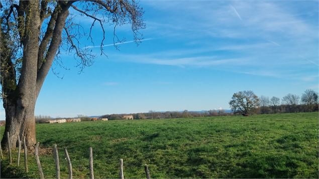 Liaison VTT-VTC (L7) St Trivier de Courtes - Dunes de Sermoyer - S Tournier CDAin