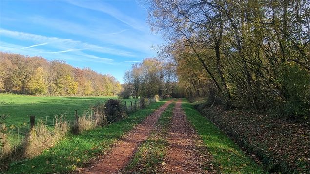 Liaison VTT-VTC (L7) St Trivier de Courtes - Dunes de Sermoyer - S Tournier CDAin
