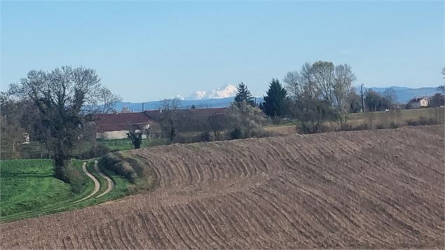 Liaison VTT-VTC (L7) St Trivier de Courtes - Dunes de Sermoyer - S Tournier CDAin