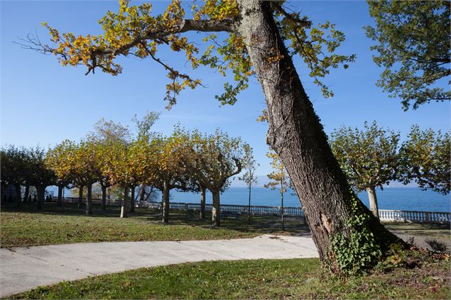 Parc de Corzent - P. Thiriet