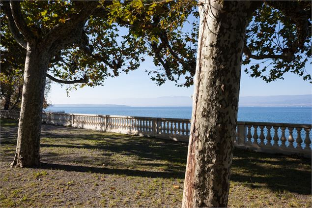 Parc de Corzent - P. Thiriet