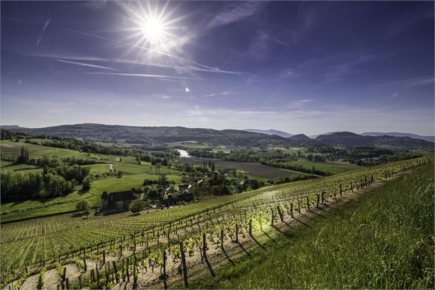 Boucle cyclo : Tour de la Charvaz - © Explore Savoie - Lansard