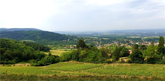 Passerelle des Vendangeurs - Johann Leiritz Aintourisme