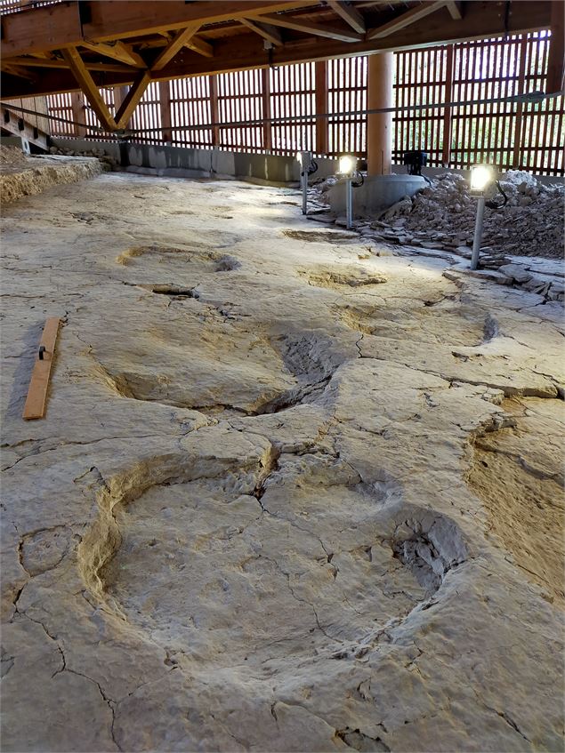 Dinoplagne - ©Lapichon CCBYSA