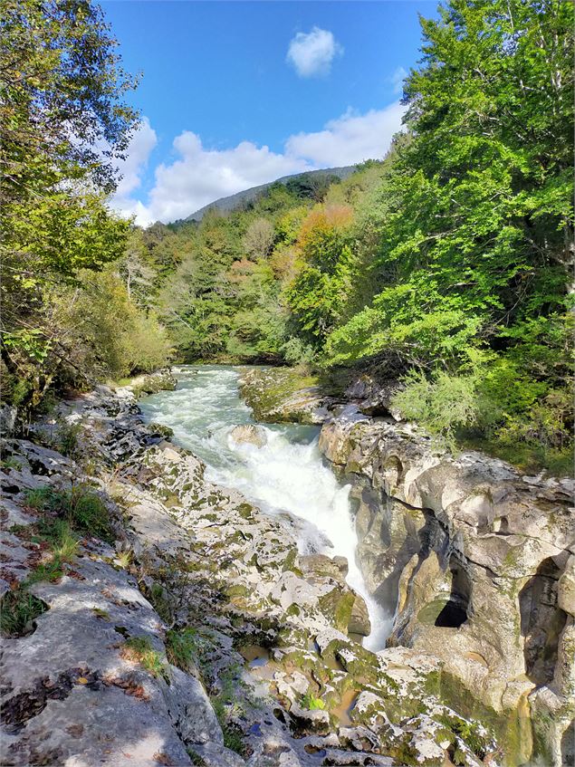 Pertes de La Valserine - ©Lapichon CCBYSA