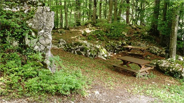 Les Gorges du Pont du Diable - Y.Tysseire - OT Vallée d'Aulps
