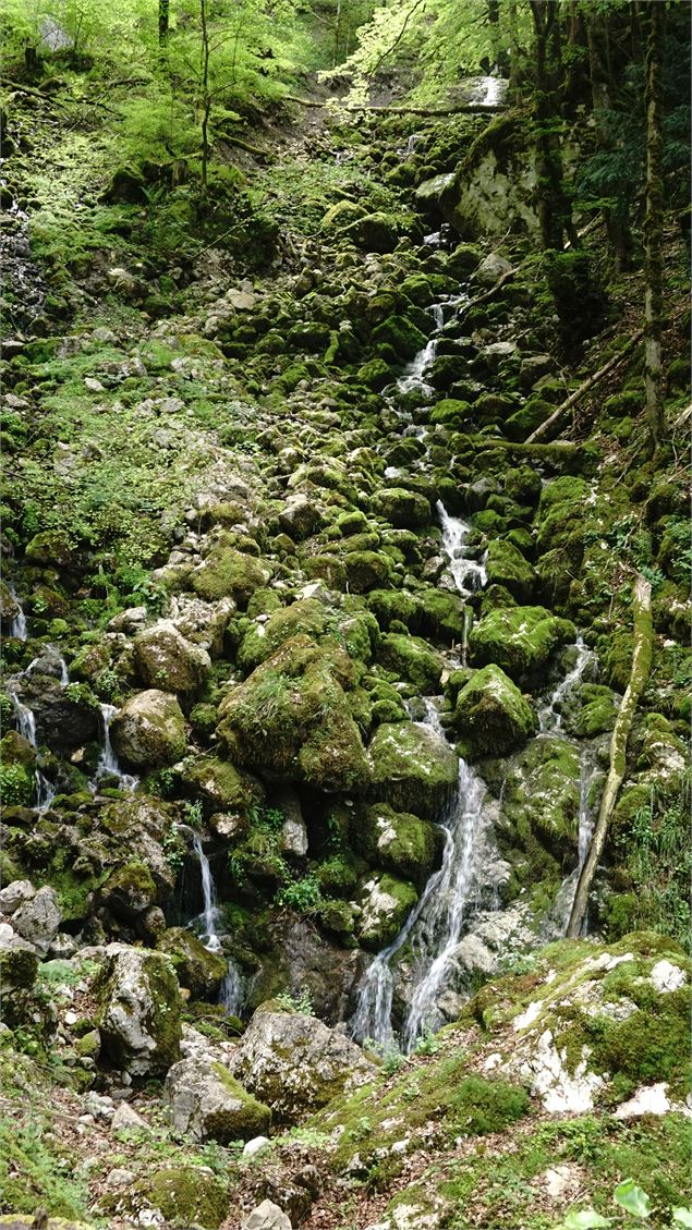 Les Gorges du Pont du Diable - Y.Tysseire - OT Vallée d'Aulps