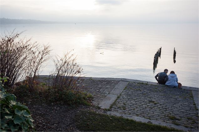 Sentier de la Pinede - Pierre Thiriet