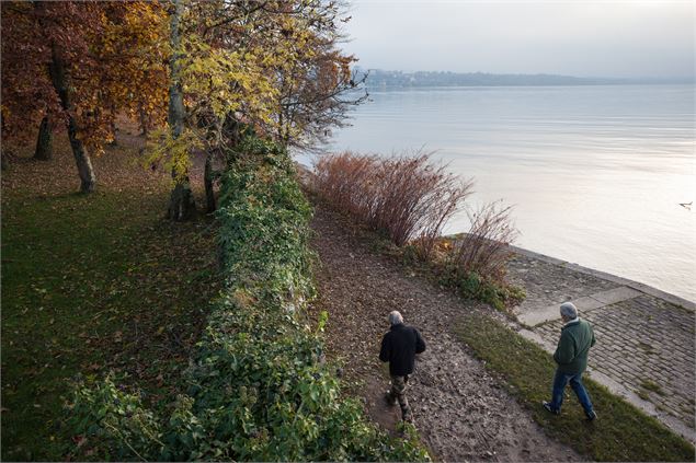 Sentier de la Pinede - Pierre Thiriet