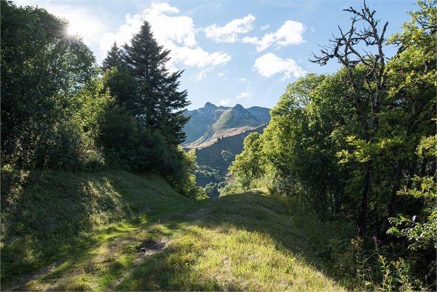Vue sur le Roc d'Enfer entre le Col de l'Encrenaz et les Paquis - Victor Demilly / Vallée d'Aulps To