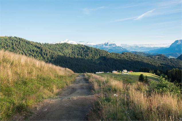 Vue sur en l'Aup en descendant du col de la Basse vers le Col de l'Encrenaz - Victor Demilly / Vallé