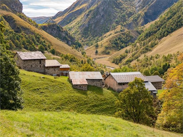 Les Priots - V. Lottenberg