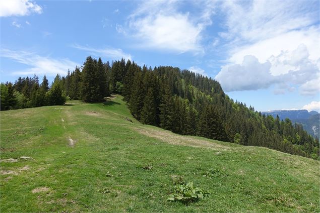 Paysage Tête du Danay - Photo sous licence Creative Commons https://creativecommons.org/licenses/by/