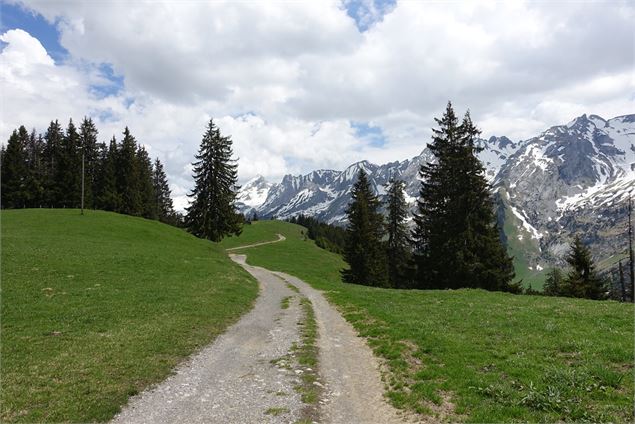 Sentier vers la Tête du Danay - Photo sous licence Creative Commons https://creativecommons.org/lice