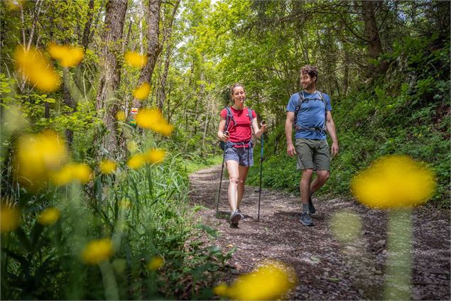 Tour du plateau de la Leysse - Rando Pédestre 3 jours_Curienne - Peignée verticale - GCAT