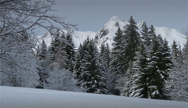 Vue sur Tête de Fer / Le Daillet - OT Les Menuires