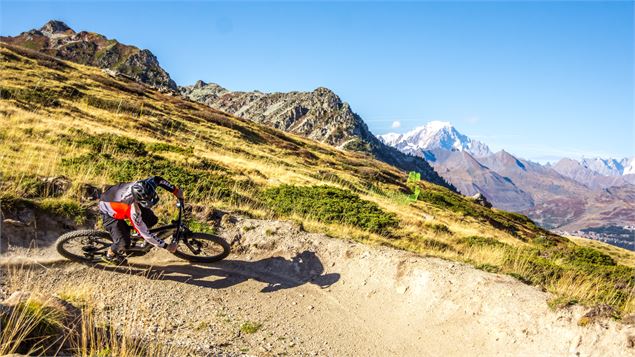 Yellow Stone  - Downhill