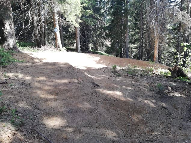 DH VTT - Lovely Woods - E. Molle