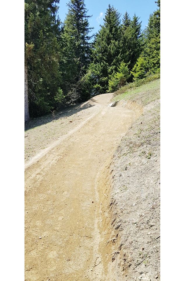 DH VTT - Pikachu - OT des Saisies