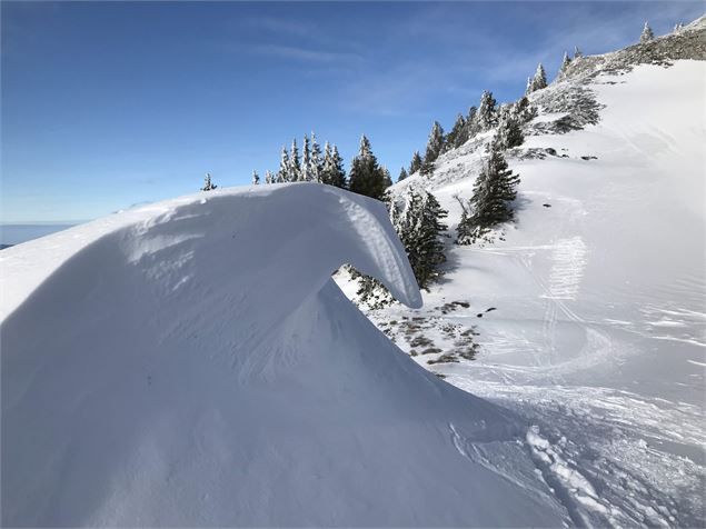 En allant au Crêt de la Neige - ©Anne-Marie Barbe