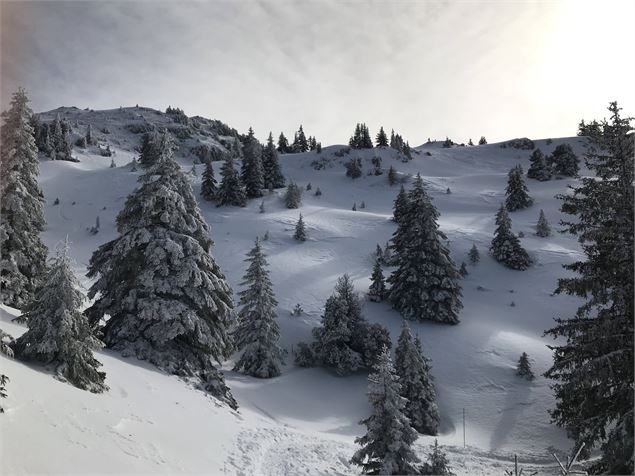En allant au Crêt de la Neige - ©Anne-Marie Barbe