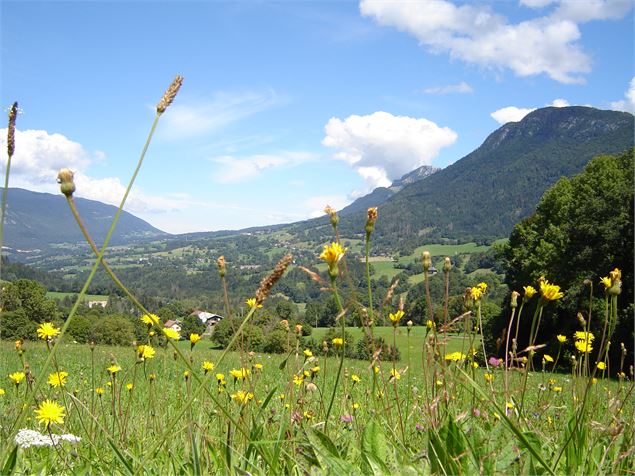 Paysage Baujus - Les cyclotouristes Albertvillois