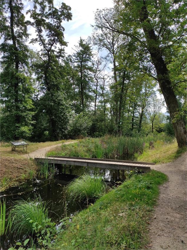 Ruine Rouelbeau - E Beaupere