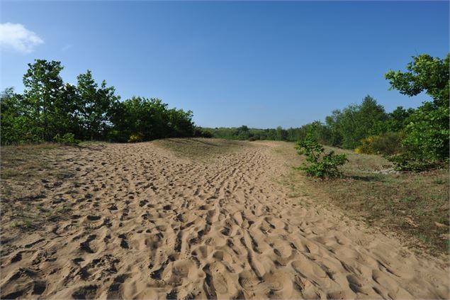 Dunes des Charmes - A. Descottes