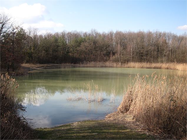 Etang de Colovrex - Office de Tourisme du Pays de Gex