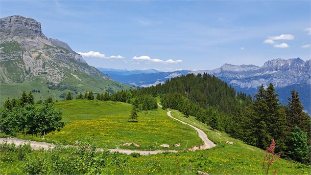 Chemin pédestre depuis la Tête Noire - © Cordon Tourisme