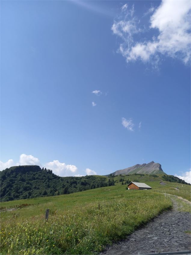 En direction de la cabane du Petit Pâtre - Cordon Tourisme