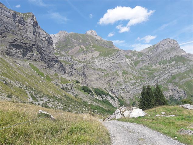 Chemin pédestre - Cordon Tourisme