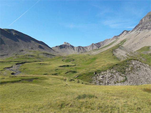 Champs de verdure - Cordon Tourisme