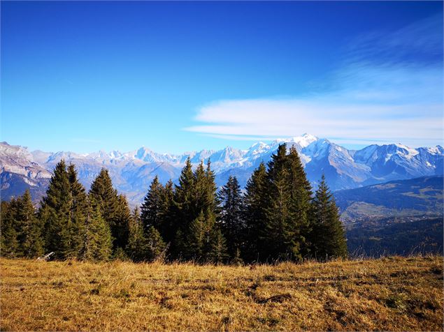 Vue sur le Mont-Blanc en direction du Plateau des Bénés - Jean Marc Barey
