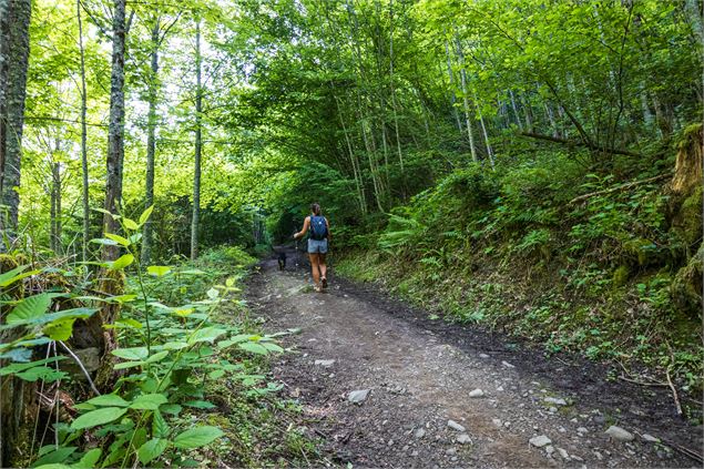 sentier - Office de Tourisme Thônes Coeur des Vallées