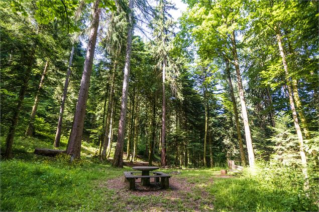 table pique-nique - Office de Tourisme Thônes Coeur des Vallées
