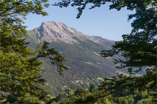 vue - Office de Tourisme Thônes Coeur des Vallées