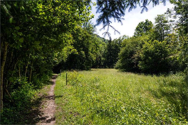 sentier - Office de Tourisme Thônes Coeur des Vallées