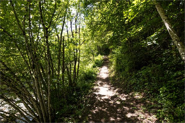 sentier - Office de Tourisme Thônes Coeur des Vallées