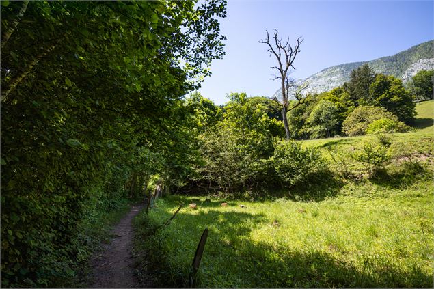 sentier - Office de Tourisme Thônes Coeur des Vallées