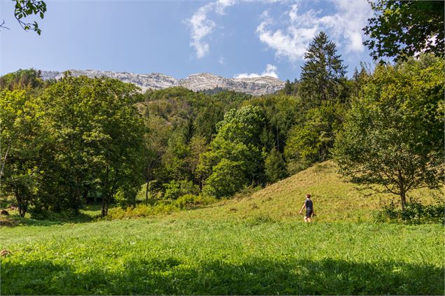 balade randonnée millières - Office de Tourisme Thônes Coeur des Vallées