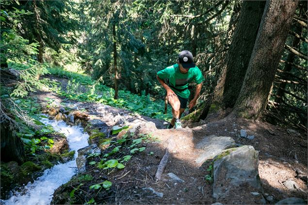 Le long du Bief Bovet - P. Augier